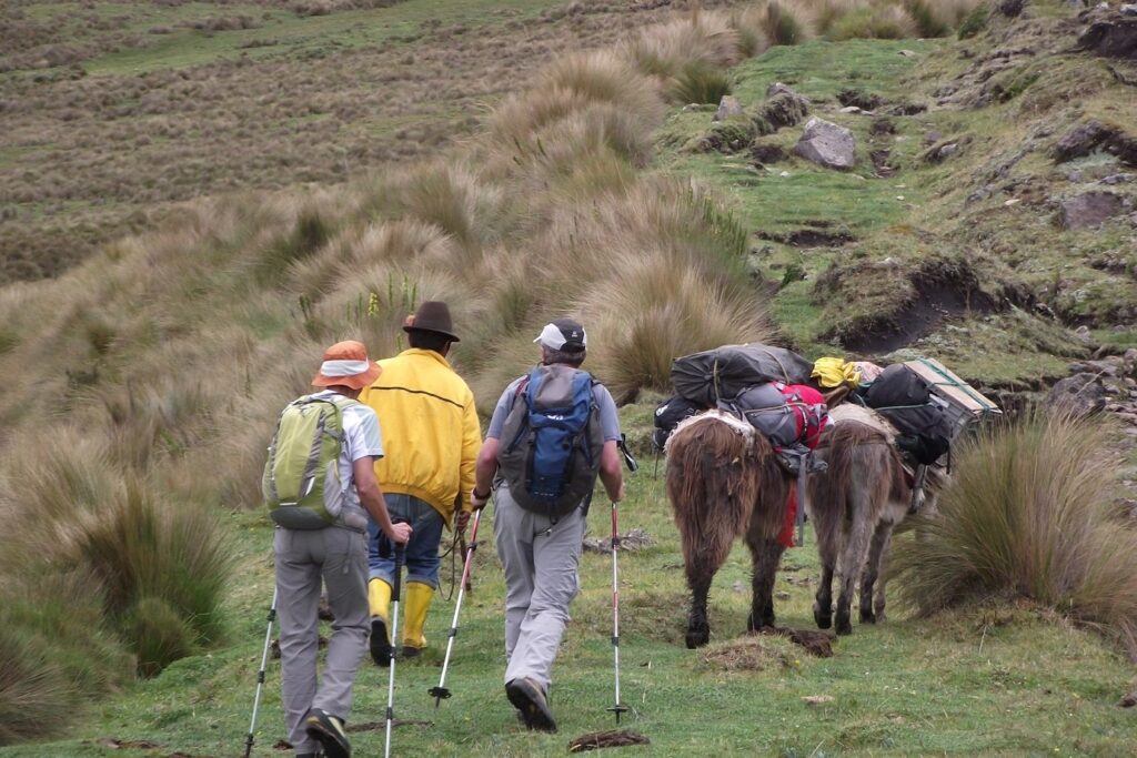 Groupe de randonneurs avec leur guide suivant un groupe d'animaux porteurs