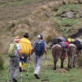 Groupe de randonneurs avec leur guide suivant un groupe d'animaux porteurs