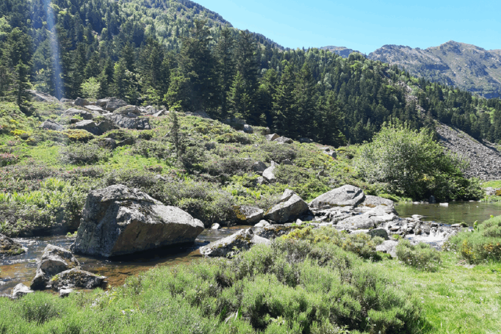 Paysage de montagne avec un court d'eau encadré d'arbres