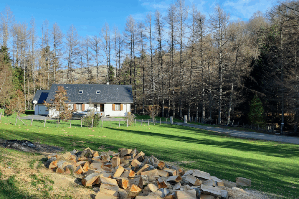 Paysage avec une maison isolée et du bois de chauffage à la lisière d'une forêt