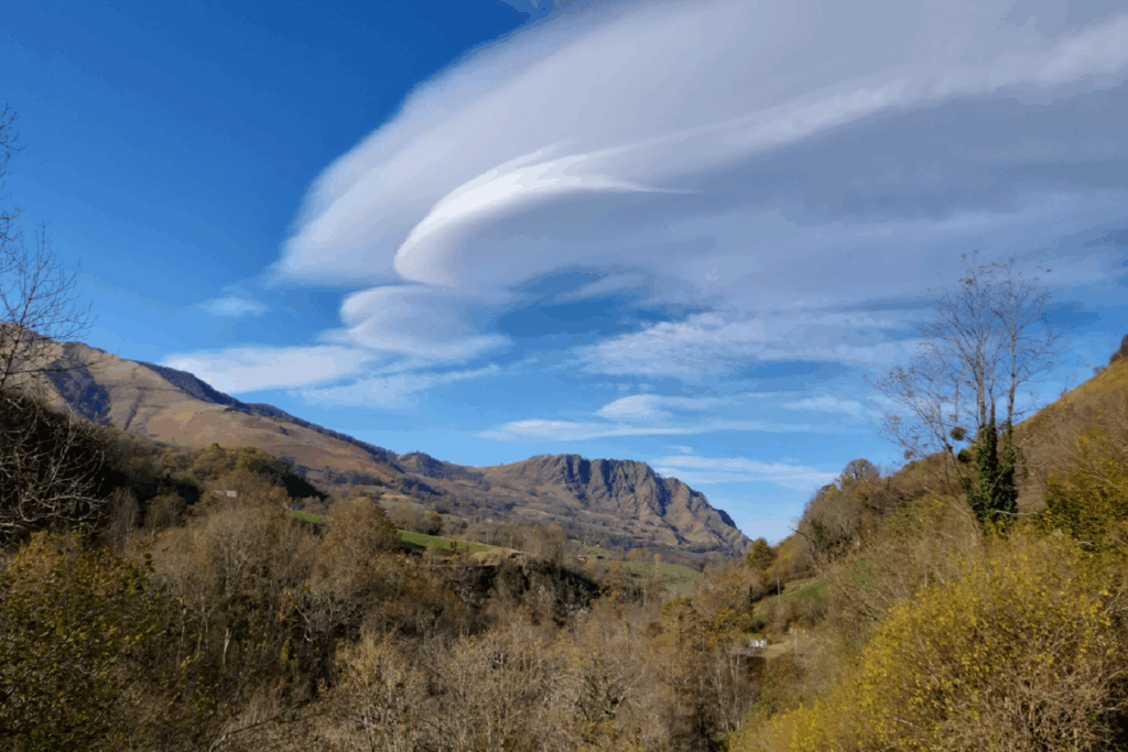Paysage estival avec en fond des sommets en pierre et au premier plan une forêt