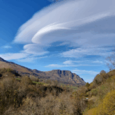 Paysage estival avec en fond des sommets en pierre et au premier plan une forêt