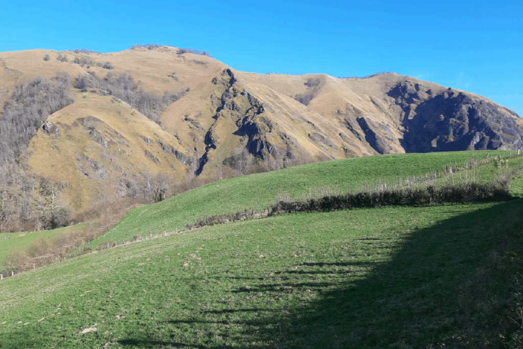 Paysage estival avec des sommets en arrière-plan et au premier plan on retrouve une plaine verte