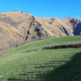 Paysage estival avec des sommets en arrière-plan et au premier plan on retrouve une plaine verte