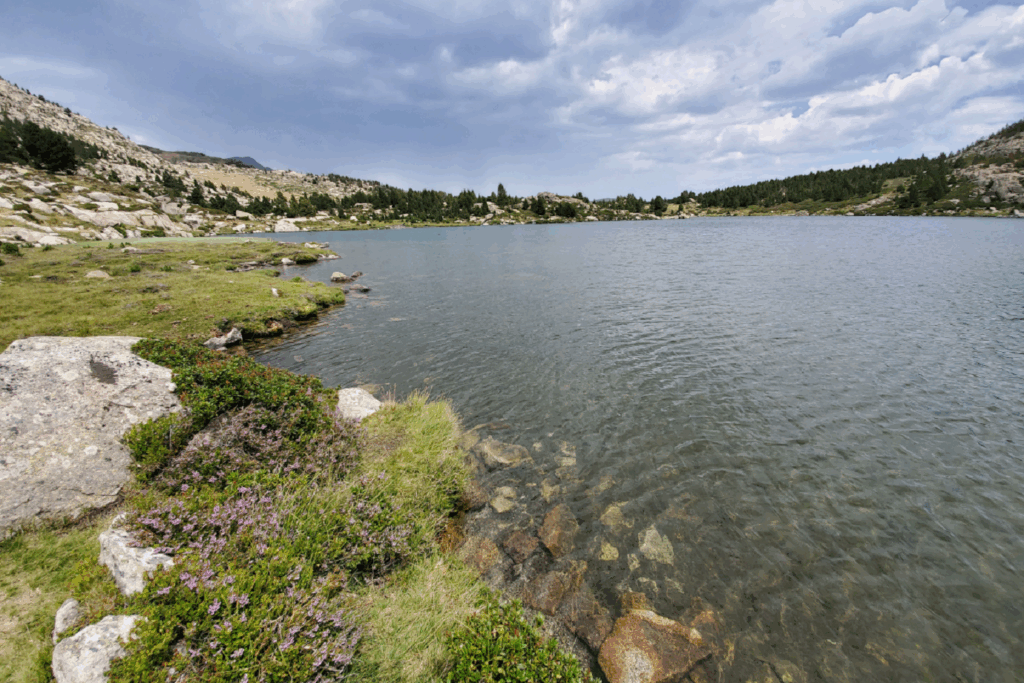 Paysage de montagne avec un lac au centre de l'image encadré de végétation