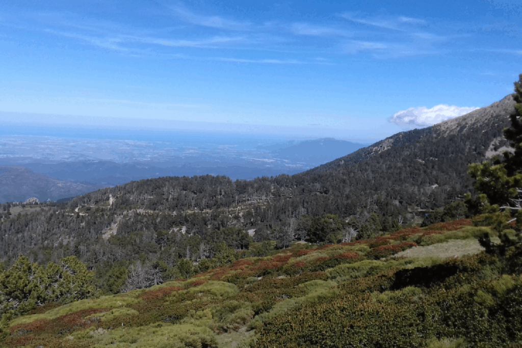 Paysage de montagne avec une vue sur différents vallons boisés