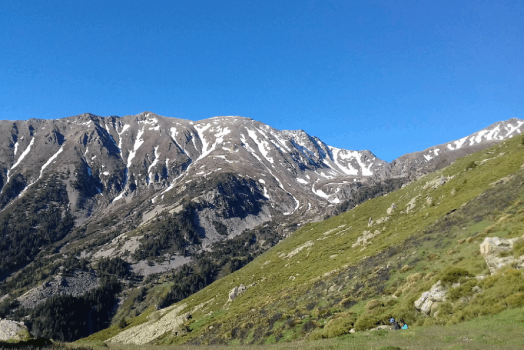 Paysage de montagne avec un flanc de montagne verdoyant et en face des sommets encore enneigés
