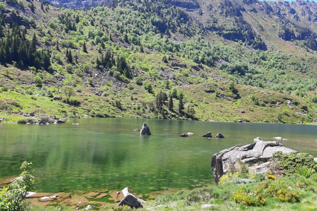 Lac de montagne entouré de sommets et de végétation