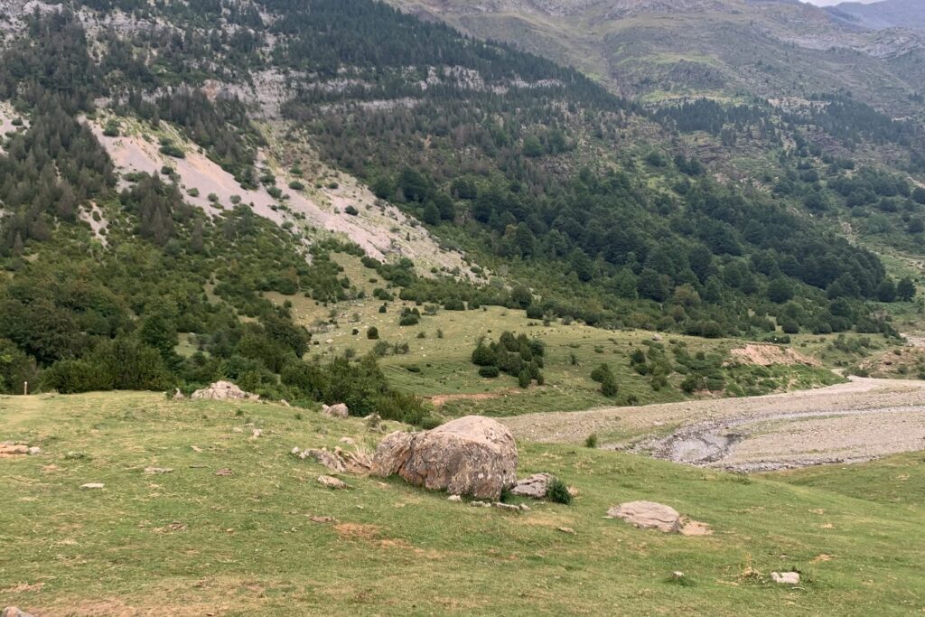 Paysage montagnard estival avec des arbres au pied des montagnes et des roches sur la plaine