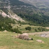 Paysage montagnard estival avec des arbres au pied des montagnes et des roches sur la plaine
