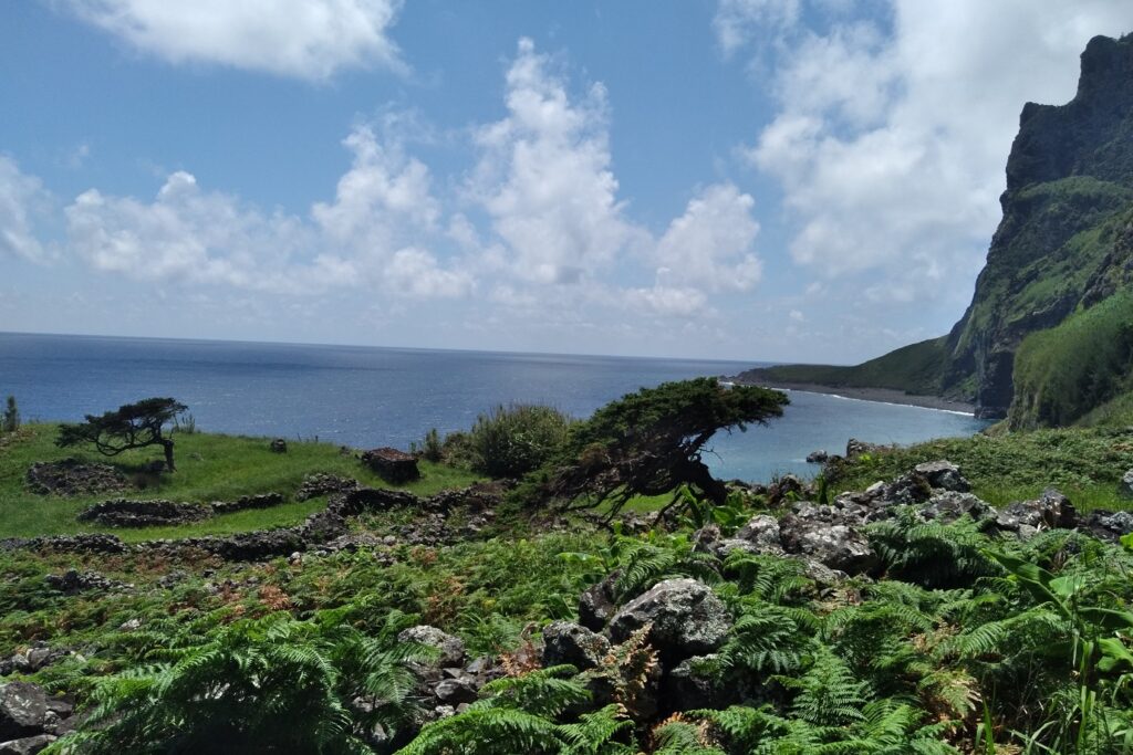 Paysage de montagne en bord de mer avec de la végétation et des roches noires
