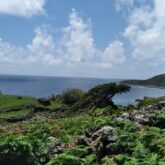 Paysage de montagne en bord de mer avec de la végétation et des roches noires