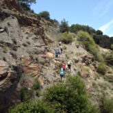 groupe de randonneurs sur un sentier de randonnée dans le parc naturel de la sierra Nevada