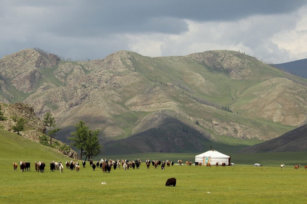 Paysage de montagne en Mongolie avec en fond une yourte et un troupeau