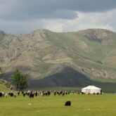 Paysage de montagne en Mongolie avec en fond une yourte et un troupeau