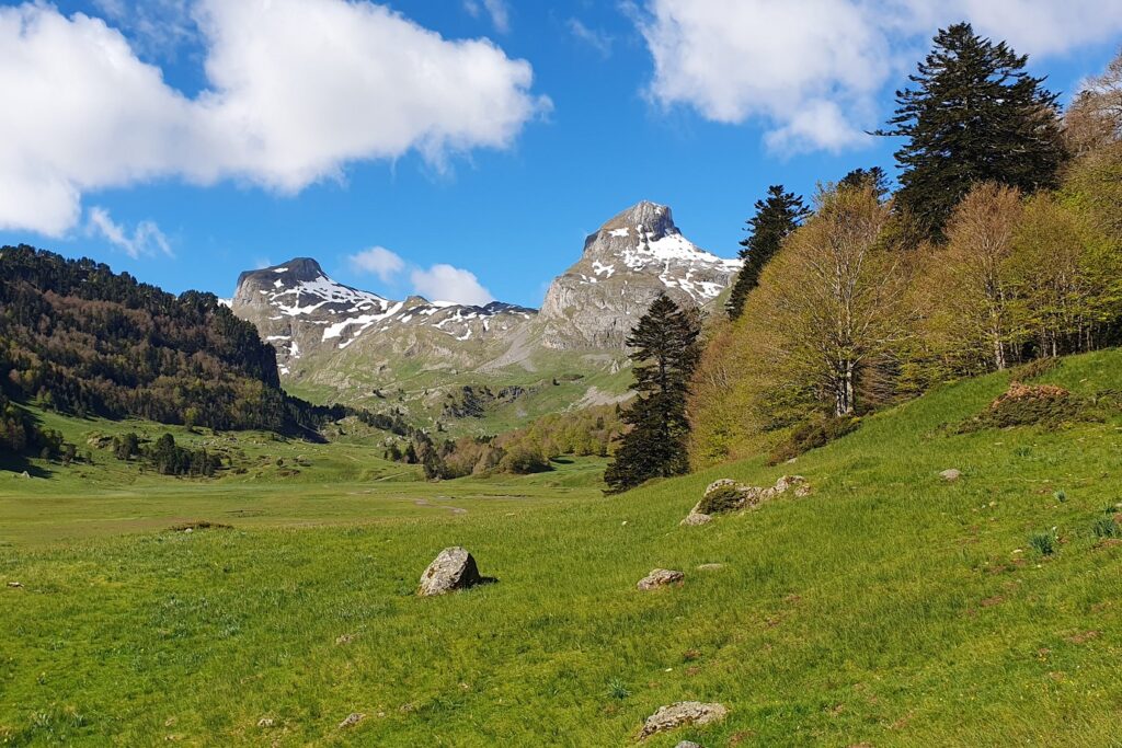 Paysage de montagne avec en fond des montagnes et au premier plan une plaine en herbe.