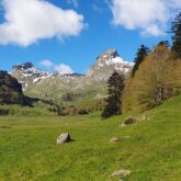 Paysage de montagne avec en fond des montagnes et au premier plan une plaine en herbe.