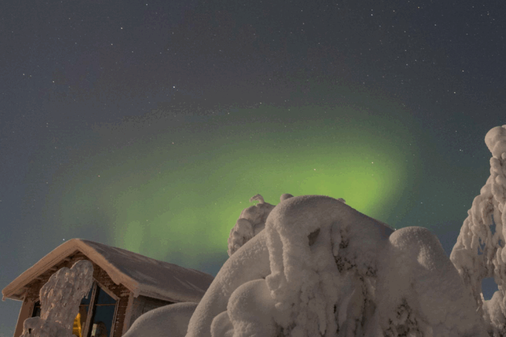 Paysage de Laponie avec un ciel comprenant des aurores boréales et des arbres recouverts d'une lourde couche de neige