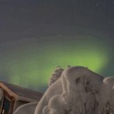 Paysage de Laponie avec un ciel comprenant des aurores boréales et des arbres recouverts d'une lourde couche de neige