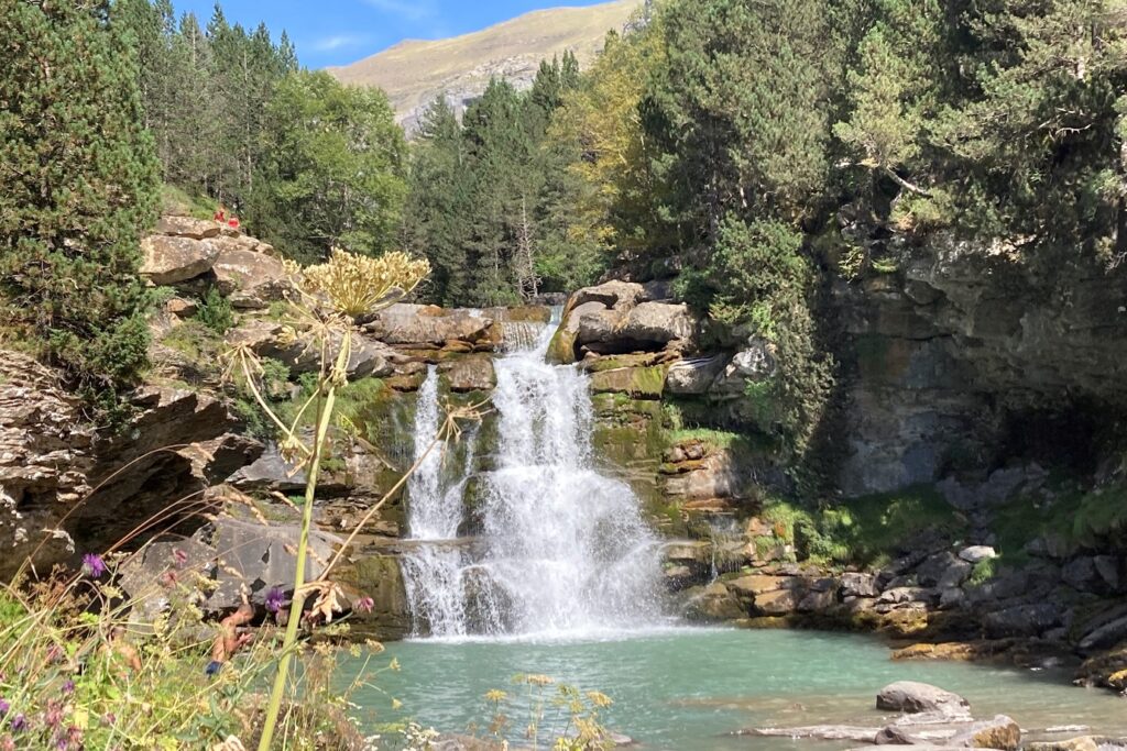 Cascade dans une montagne encadrée de forêts
