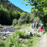 Groupe de randonneurs sur un sentier en bord de rivière encadré d'arbres en été.