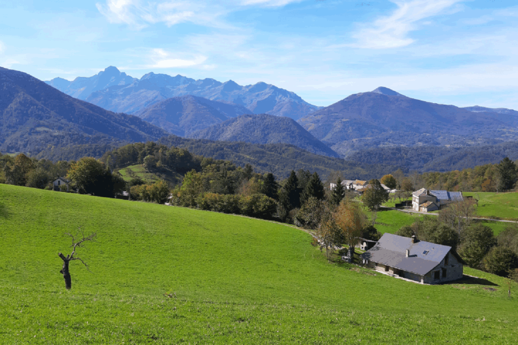Paysage estival de montagne avec en fond des sommets et des reliefs montagneux, et au premier plan une plaine en herbe