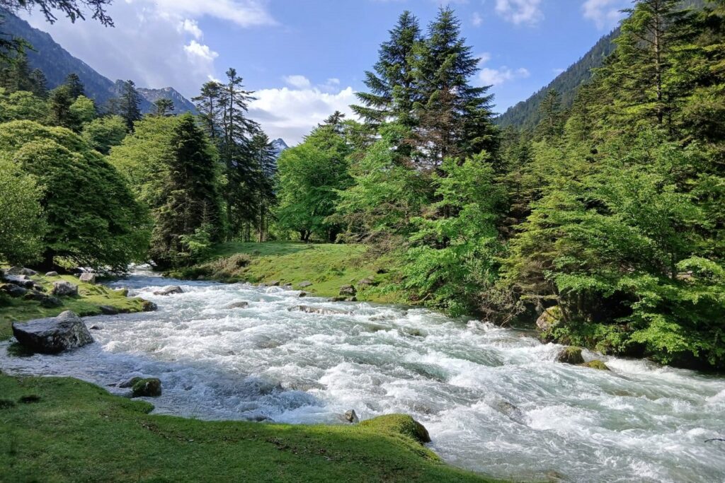 Paysage de montagne avec un cours d'eau entouré d'arbres dans un paysage de montagne.