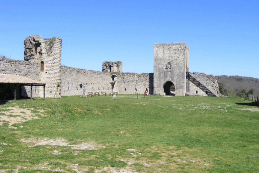 Paysage d'un château cathare et une prairie verte d'été
