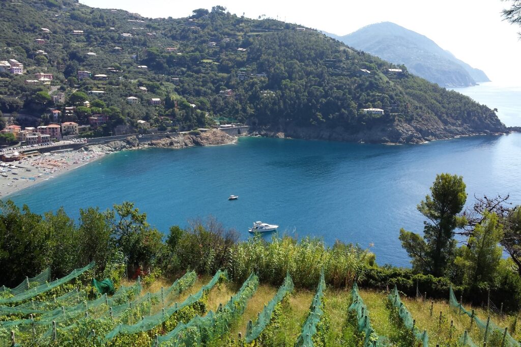 Paysage en hauteurs de la baie d'un village des cinq terres, en Italie avec des cultures et une forêt