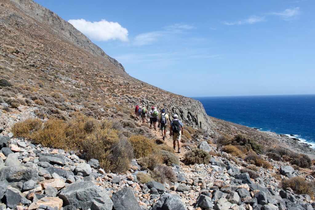 Groupe de ammonnerus sur un sentier à flanc de montagne avec en contrebas la mer
