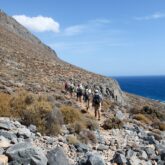 Groupe de ammonnerus sur un sentier à flanc de montagne avec en contrebas la mer