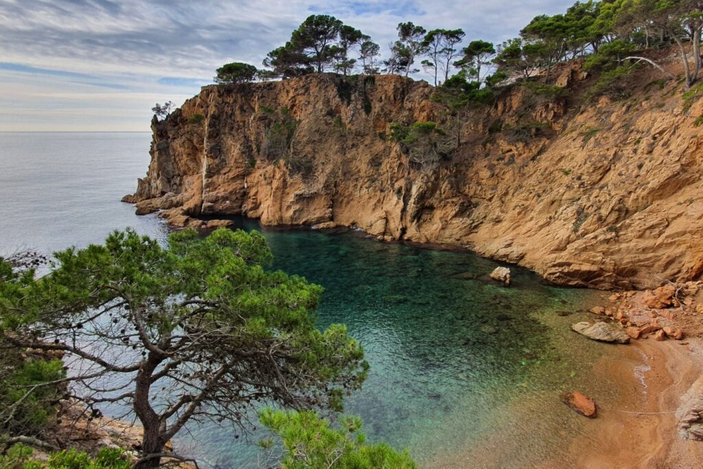 Paysage côtier avec des falaises autour de la crique et des arbres, en Costa Brava