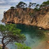 Paysage côtier avec des falaises autour de la crique et des arbres, en Costa Brava