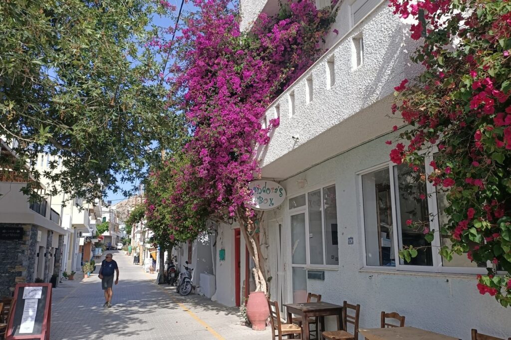 Paysage d'une ville de crète avec des habitations blanches ainsi que des fleurs