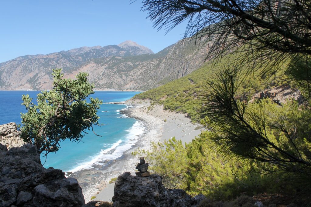 Paysage de bord de mer avec une plage encadrée de végétation.