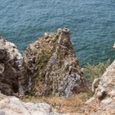 Paysage de mer pris depuis une falaise au Portugal