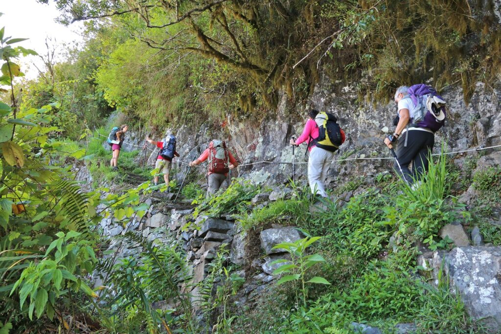 Groupe de randonneurs sur un chemin à travers les arbres et la végétation, sur un sentier de pierre