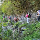 Groupe de randonneurs sur un chemin à travers les arbres et la végétation, sur un sentier de pierre