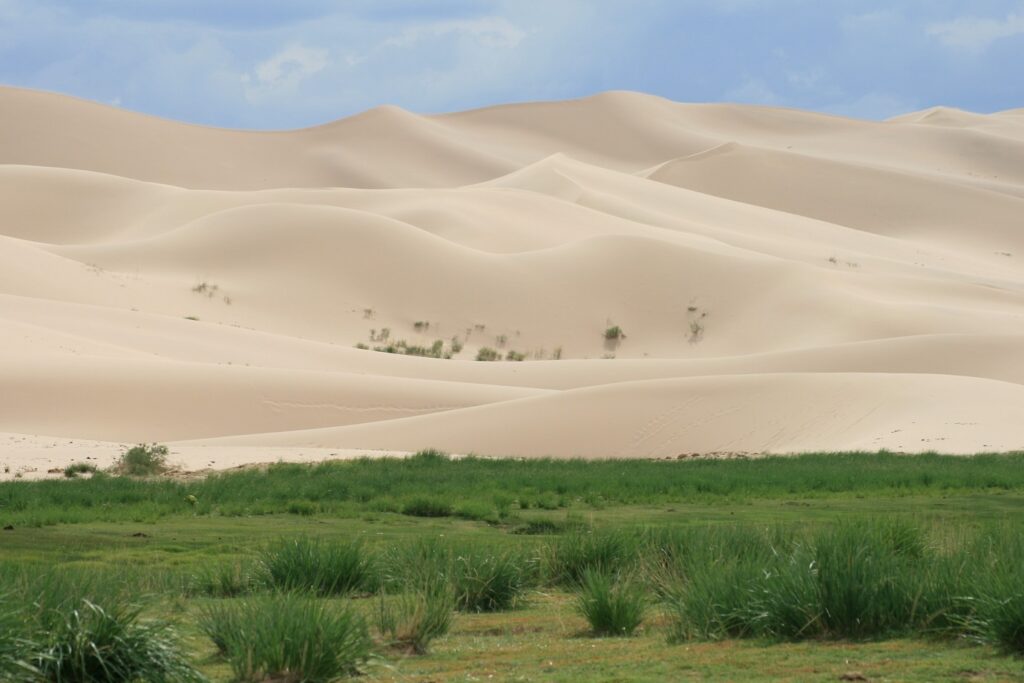Paysage de montagne en Mongolie, désert de sable clair avec au pied de la végétation