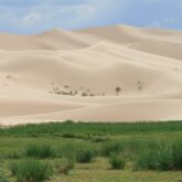 Paysage de montagne en Mongolie, désert de sable clair avec au pied de la végétation