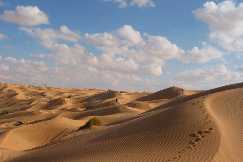paysage des Dunes de Merzouga