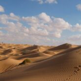 paysage des Dunes de Merzouga