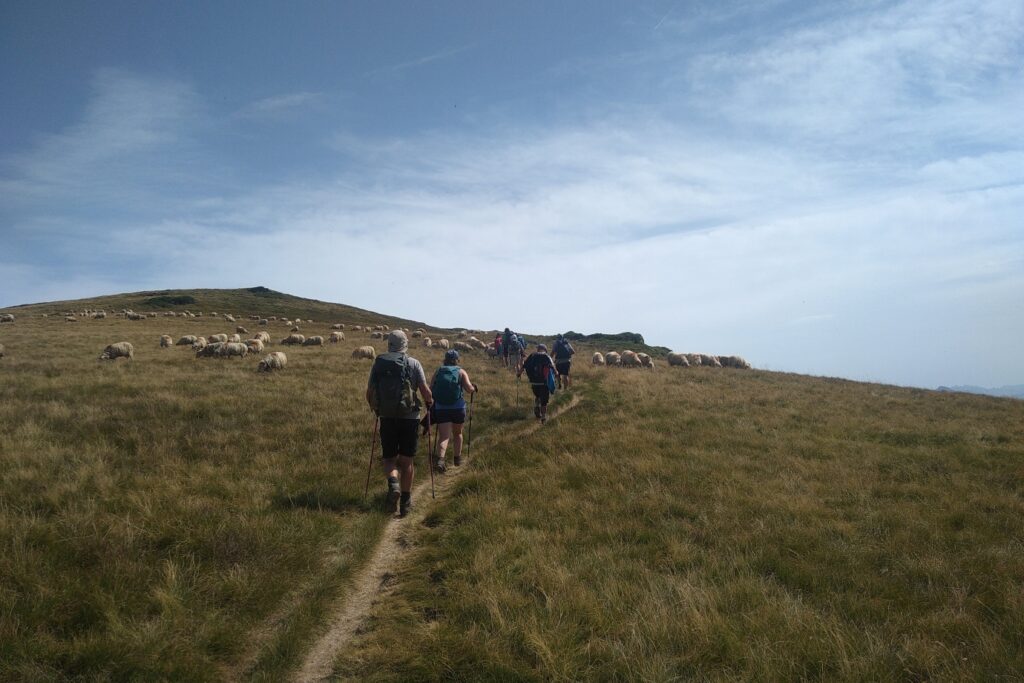 Groupe de famille sur un sentier avec leur guide lors d'une randonnée familiale entre Gavarnie et Cauterets