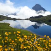 Paysage de montagne avec un lac au second plan et des fleurs au premier plan