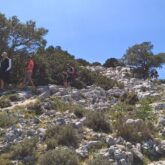 Groupe de randonneurs sur un sentier de pierre avec des arbres et de la végétation caractéristique de la Sardaigne.