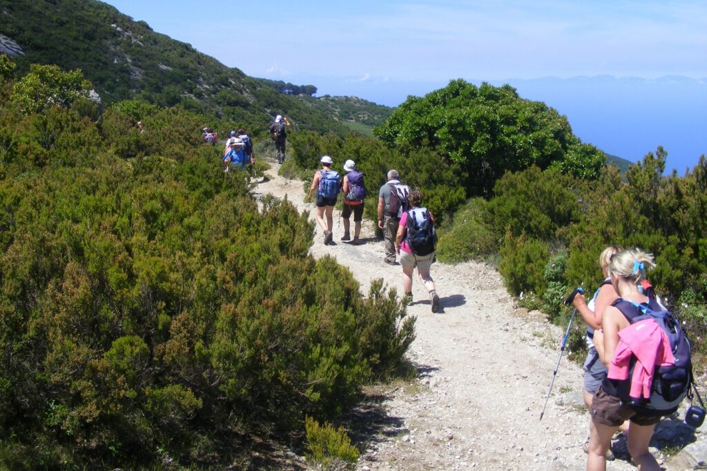 Groupe de randonneurs sur un sentier blanc entre la végétation de chaque côté, ils sont en contrebas de la mer