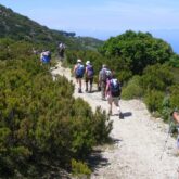 Groupe de randonneurs sur un sentier blanc entre la végétation de chaque côté, ils sont en contrebas de la mer