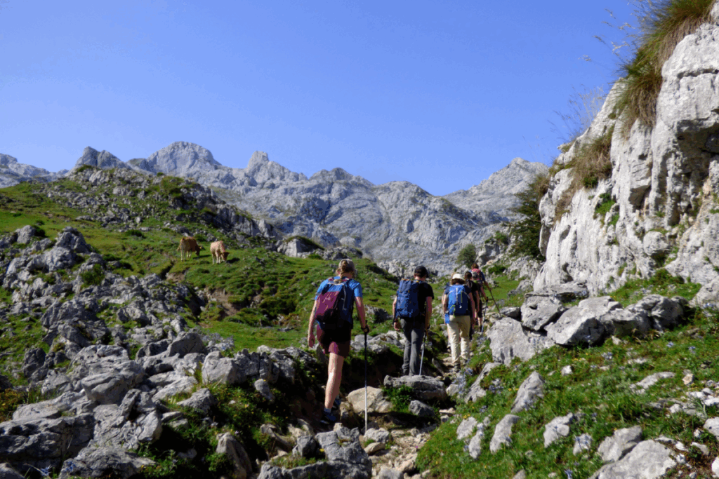 Groupe de randonneurs en trek dans le picos de europa face à un paysage de montagne