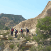 groupe de randonneurs sur un sentier dans le désert du Monegros accompagné par leur guide