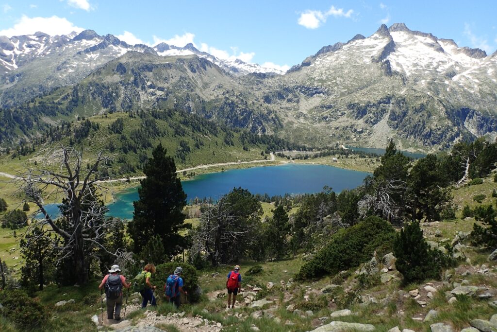 Paysage montagnard avec au premier plan une forêt et plus loin des sommets enneigés.